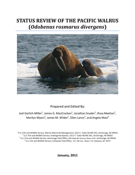 STATUS REVIEW of the PACIFIC WALRUS (Odobenus Rosmarus Divergens)