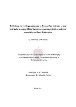 Optimizing Harvesting Procedures of Amaranthus Hybridus And