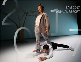 Bam 2017 Annual Report