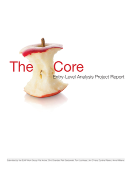 The Core Entry-Level Analysis Project Report