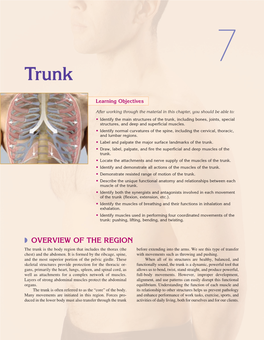 OVERVIEW of the REGION the Trunk Is the Body Region That Includes the Thorax (The Before Extending Into the Arms