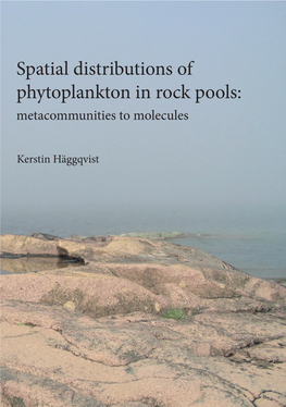 Spatial Distributions of Phytoplankton in Rock Pools: Metacommunities to Molecules
