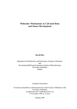 Molecular Mechanisms in Calvarial Bone and Suture Development