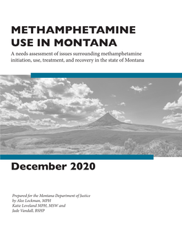 METHAMPHETAMINE USE in MONTANA a Needs Assessment of Issues Surrounding Methamphetamine Initiation, Use, Treatment, and Recovery in the State of Montana
