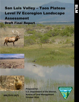Taos Plateau Level IV Ecoregion Landscape Assessment