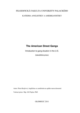 The American Street Gangs