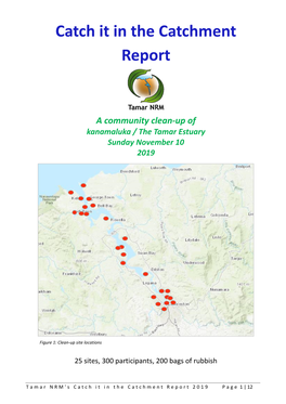 Catch It in the Catchment Report