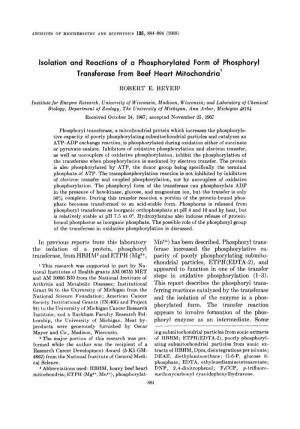 Isolation and Reactions of a Phosphorylated Form of Phosphoryl Transferase from Beef Heart Mitochondria’