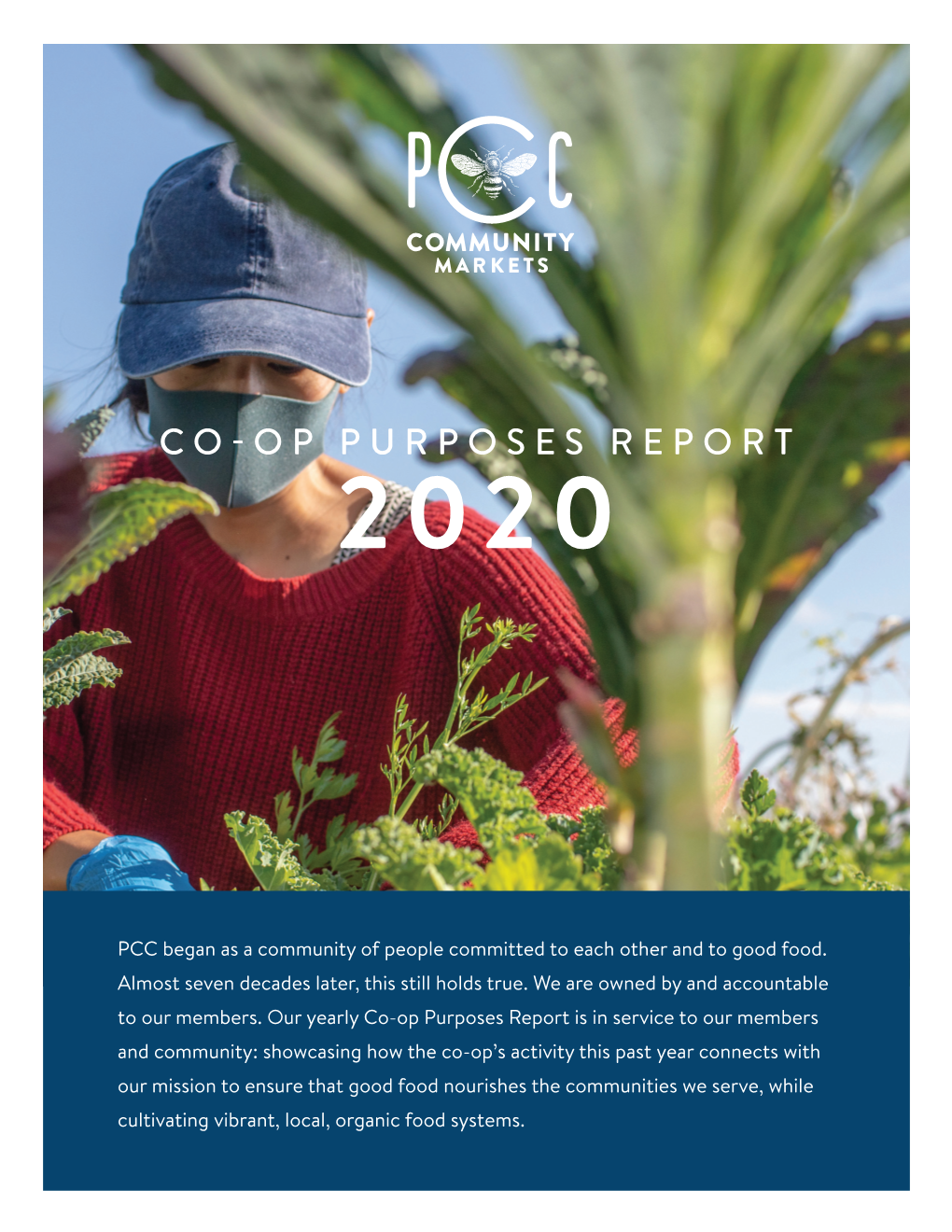 Co-Op Purposes Report 2020