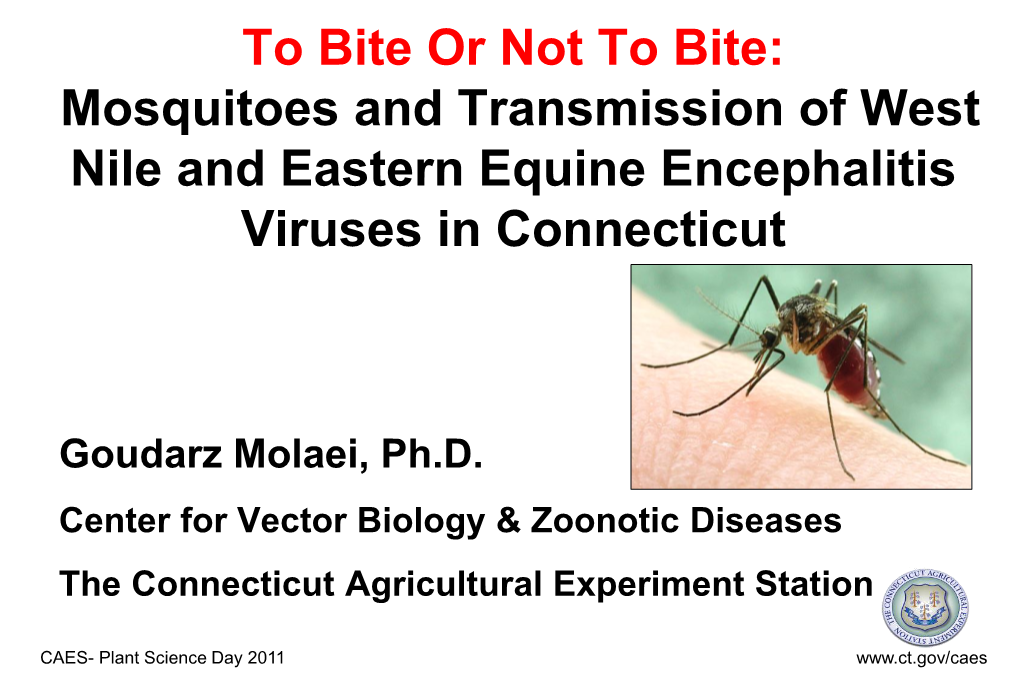 To Bite Or Not to Bite: Mosquitoes and Transmission of West Nile and Eastern Equine Encephalitis Viruses in Connecticut