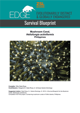 Survival Blueprint 2015