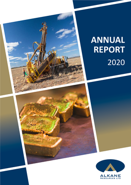 ANNUAL REPORT 2020 Competent Persons