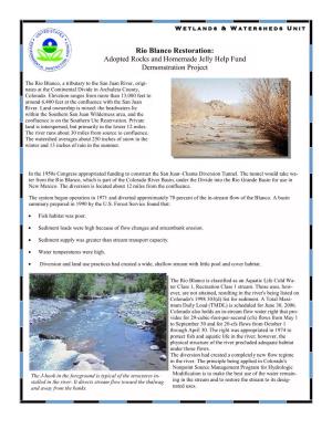Rio Blanco Restoration: Adopted Rocks and Homemade Jelly Help Fund Demonstration Project