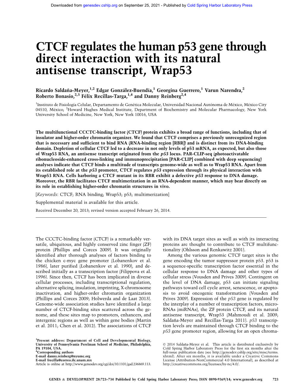 CTCF Regulates the Human P53 Gene Through Direct Interaction with Its Natural Antisense Transcript, Wrap53