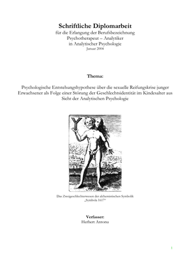 Diplomarbeit Für Die Erlangung Der Berufsbezeichnung Psychotherapeut – Analytiker in Analytischer Psychologie Januar 2004