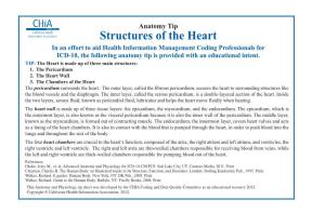 Structures of the Heart