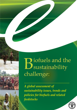 Biofuels and the Sustainability Challenge: a Global Assessment of Sustainability Issues, Trends and Policies for Biofuels and Related Feedstocks