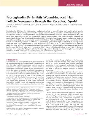 Prostaglandin D2 Inhibits Wound-Induced Hair Follicle Neogenesis Through the Receptor, Gpr44 Amanda M