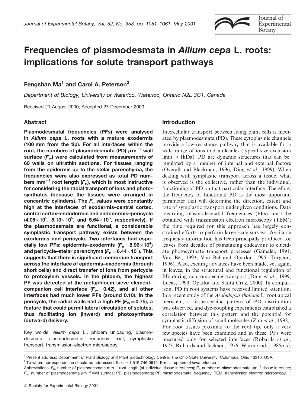 Frequencies of Plasmodesmata in Allium Cepa L. Roots: Implications for Solute Transport Pathways