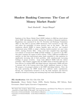 Shadow Banking Concerns: the Case of Money Market Funds∗