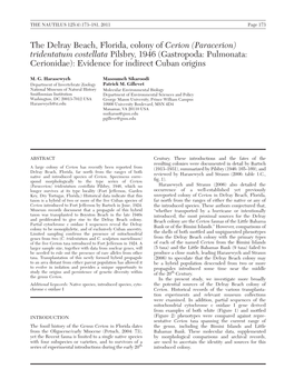 (Paracerion) Tridentatum Costellata Pilsbry, 1946 (Gastropoda: Pulmonata: Cerionidae): Evidence for Indirect Cuban Origins