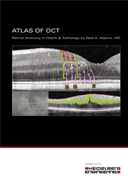 ATLAS of OCT Retinal Anatomy in Health & Pathology by Neal A