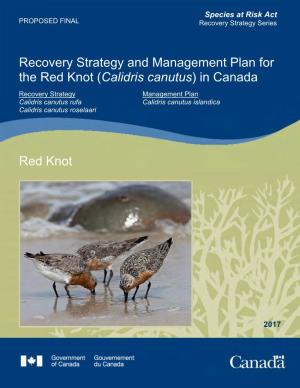 Recovery Strategy and Management Plan for the Red Knot (Calidris Canutus) in Canada