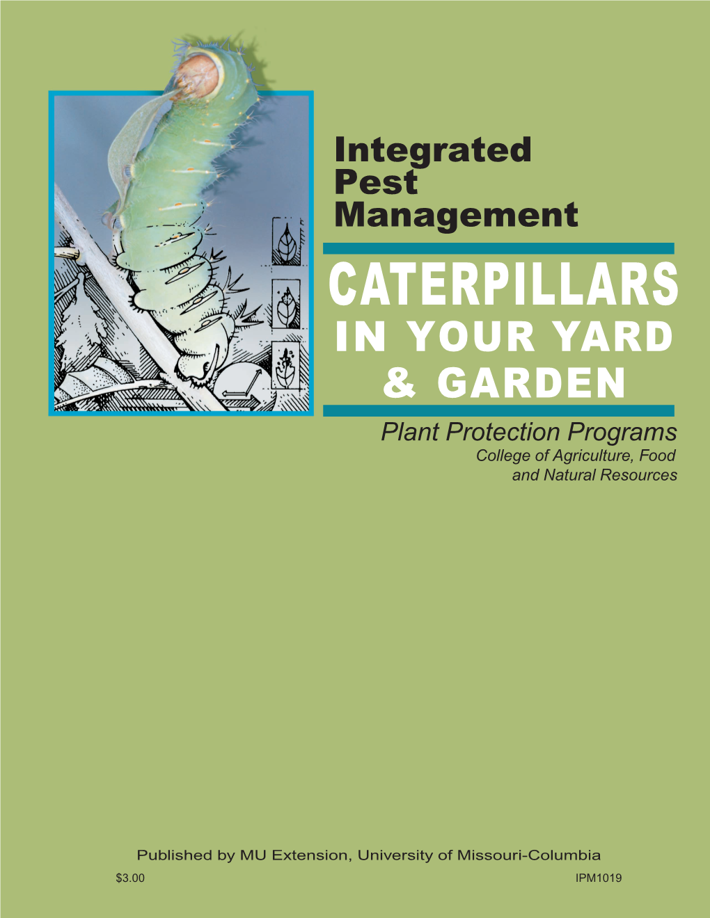 CATERPILLARS in YOUR YARD & GARDEN Plant Protection Programs College of Agriculture, Food and Natural Resources
