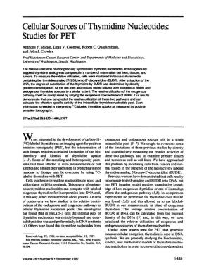 Cellular Sources of Thymidine Nucleotides: Studies for PET