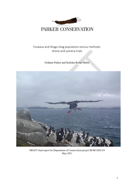 Foveaux and Otago Shag Population Census Methods: Drone and Camera Trials