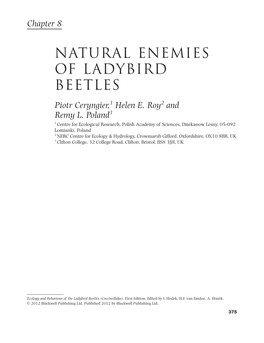Natural Enemies of Ladybird Beetles