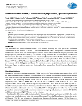 First Records of a Rare Snake Eel, Leiuranus Versicolor (Anguilliformes, Ophichthidae) from Japan