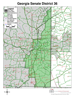 Georgia Senate District 36