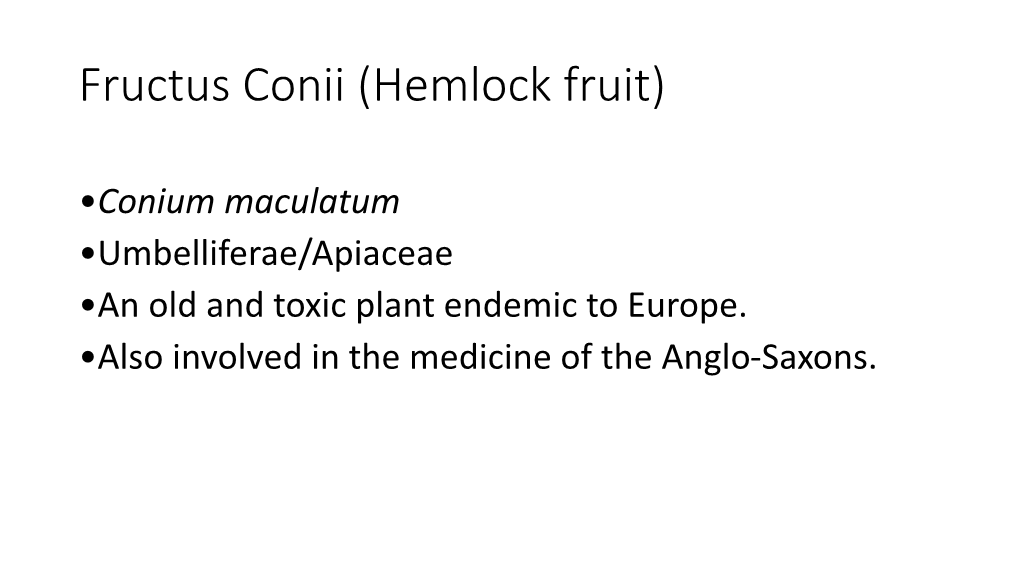 Fructus Conii (Hemlock Fruit)