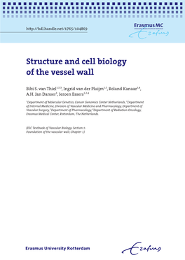 Structure and Cell Biology of the Vessel Wall