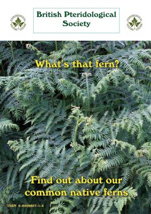 What's That Fern? Find out About Our Common Native Ferns