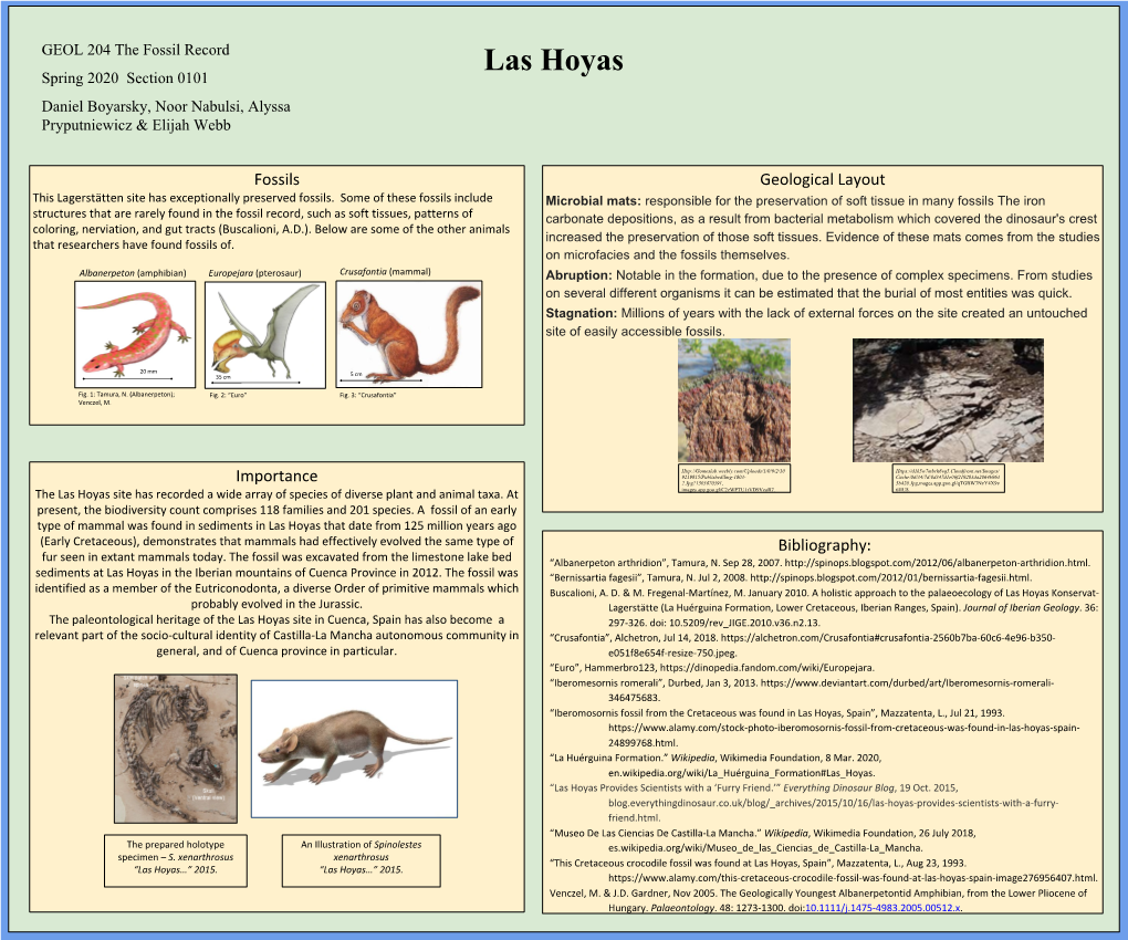 Fossils Importance Bibliography