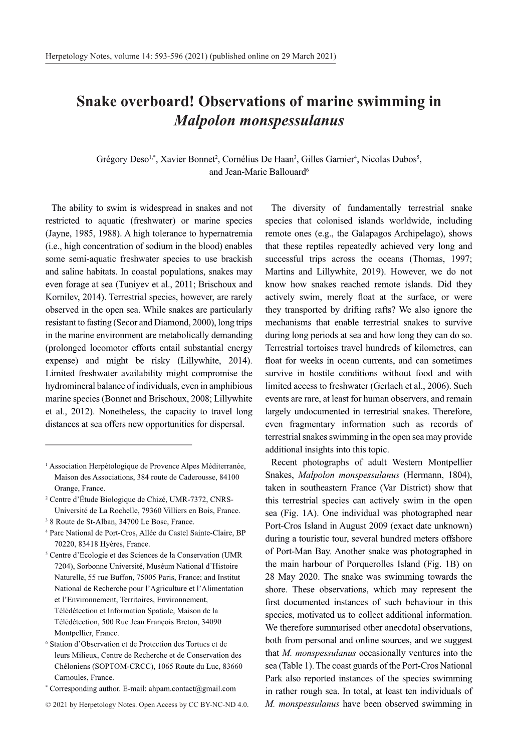 Observations of Marine Swimming in Malpolon Monspessulanus