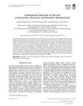 Comparative Anatomy of Ovules in Galinsoga, Solidago and Ratibida (Asteraceae)