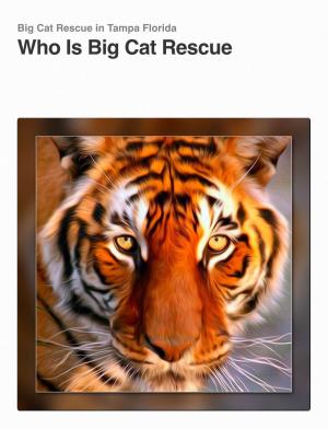 OVERVIEW of Who Is Big Cat Rescue?