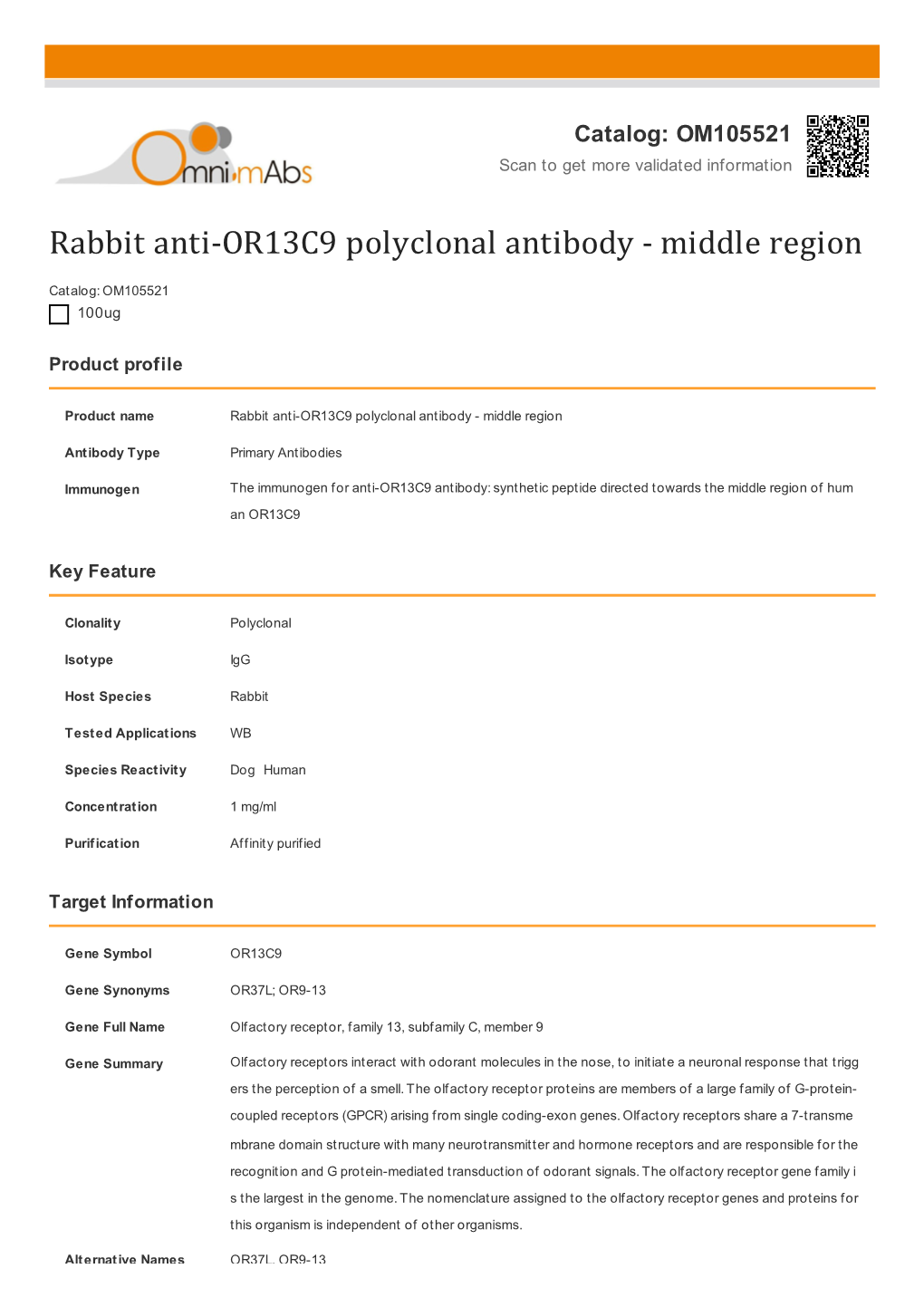 Rabbit Anti-OR13C9 Polyclonal Antibody - Middle Region