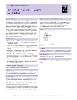 BABAM1 (H3): 293T Lysate: Sc-128160