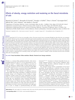 Effects of Obesity, Energy Restriction and Neutering on the Faecal Microbiota of Cats