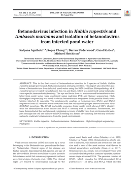 Betanodavirus Infection in Kuhlia Rupestris and Ambassis Marianus and Isolation of Betanodavirus from Infected Pond Water