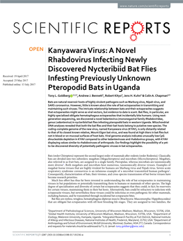 A Novel Rhabdovirus Infecting Newly Discovered Nycteribiid Bat Flies