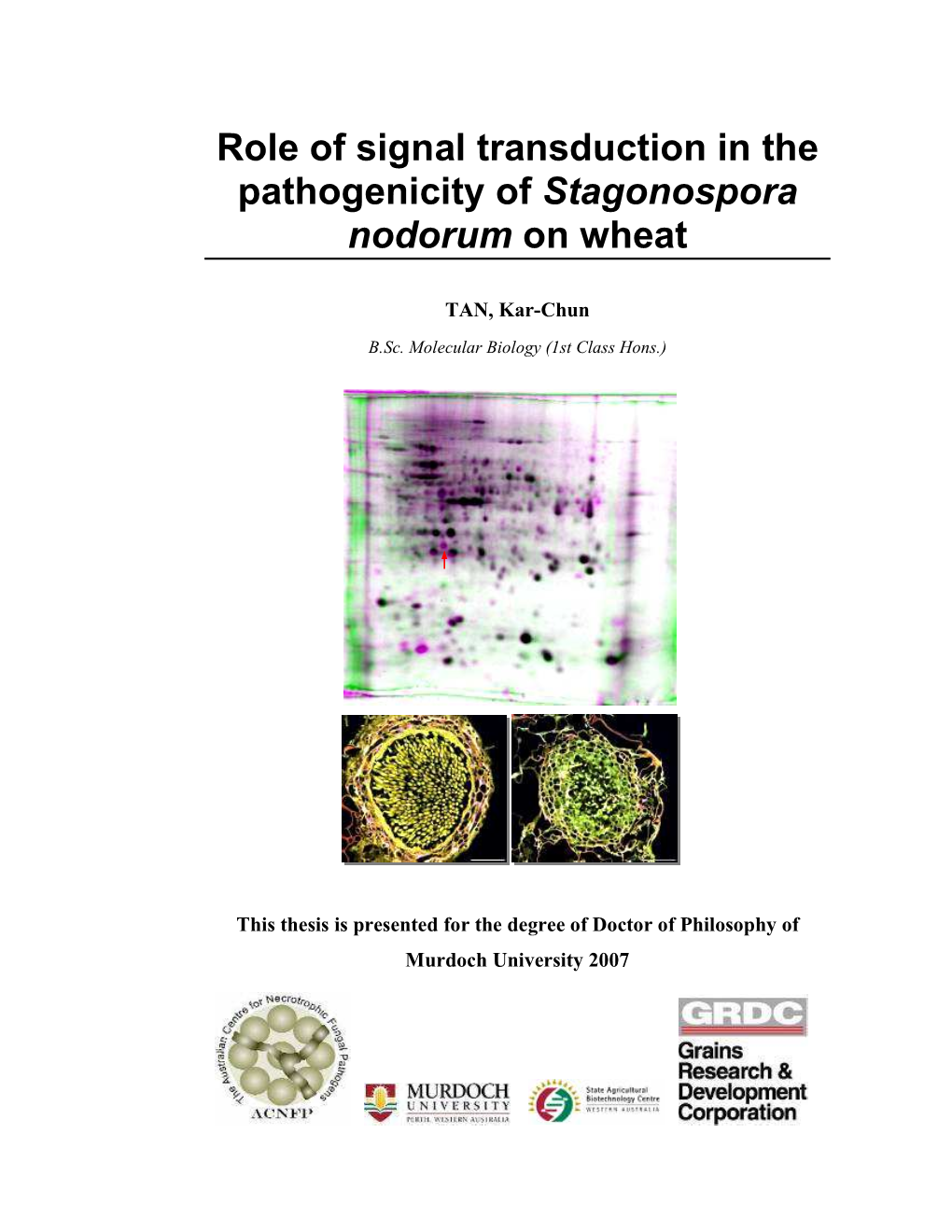 Role of Signal Transduction in the Pathogenicity of Stagonospora Nodorum on Wheat 