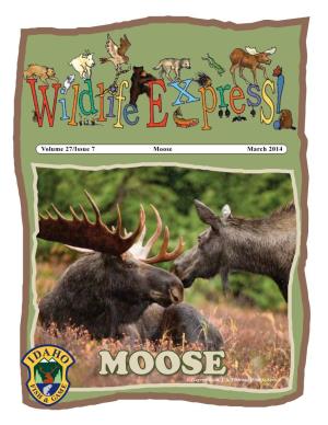 Moose March 2014