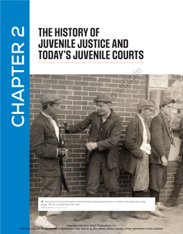 Chapter 2: the History of Juvenile Justice and Today's Juvenile Courts