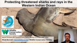 Protecting Threatened Sharks and Rays in the Western Indian Ocean