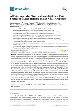 ATP Analogues for Structural Investigations: Case Studies of a Dnab Helicase and an ABC Transporter